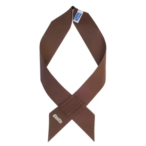 Brownies sash